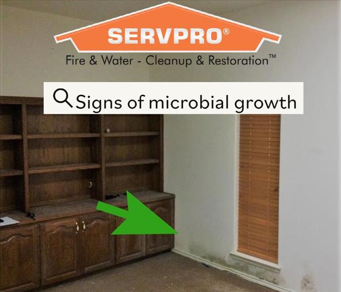 microbial growth in home